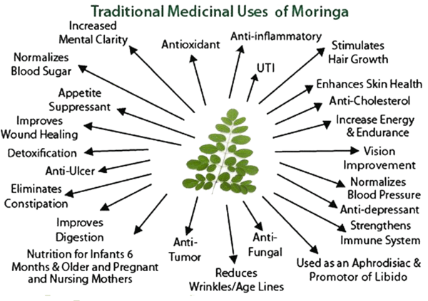 Moringa Powder