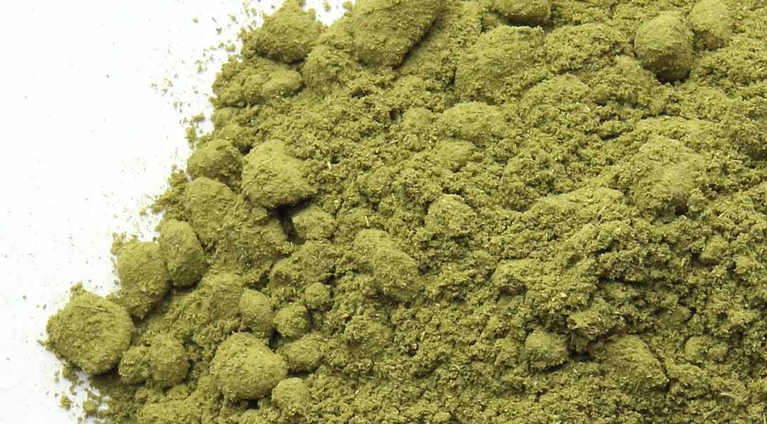 Moringa Powder